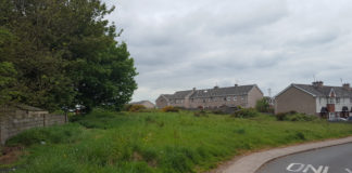 Planning permission granted for 10-house estate in Watergrasshill